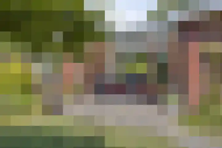 De Wolzaklaan 18 a Eefde thumbnail 21