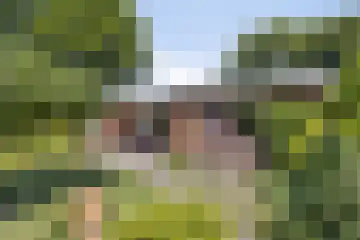 De Wolzaklaan 18 a Eefde thumbnail 22