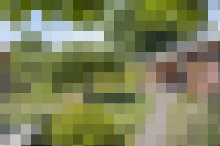 De Wolzaklaan 18 a Eefde thumbnail 23