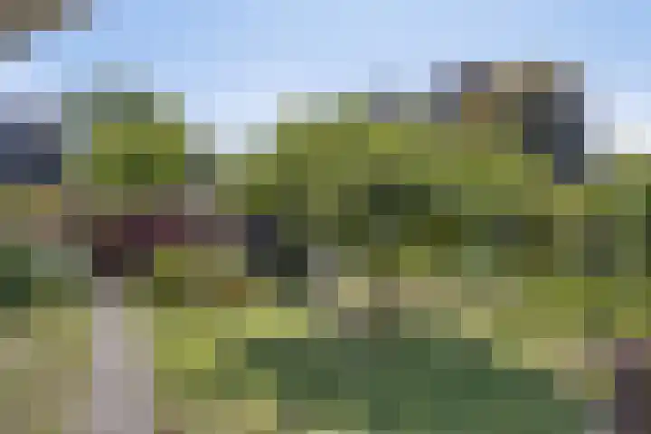 De Wolzaklaan 18 a Eefde thumbnail 24