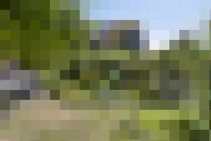De Wolzaklaan 18 a Eefde thumbnail 25