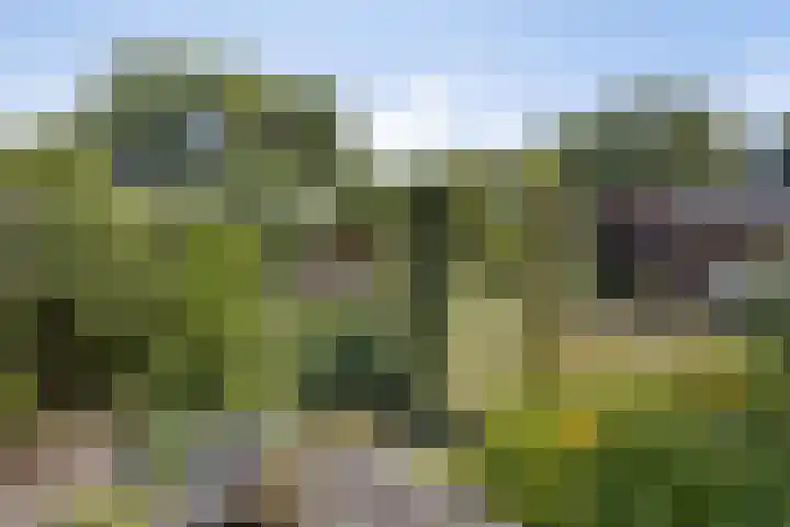 De Wolzaklaan 18 a Eefde thumbnail 26