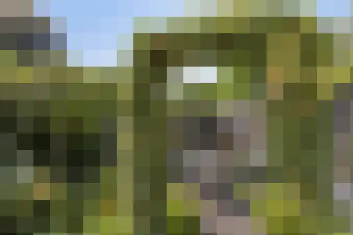 De Wolzaklaan 18 a Eefde thumbnail 27