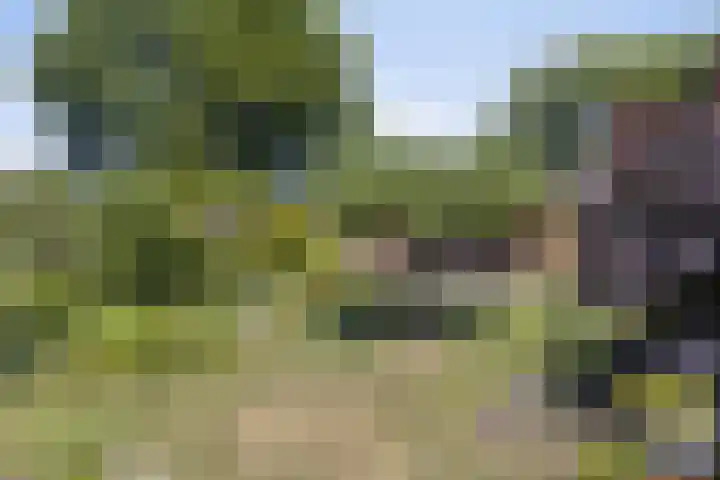 De Wolzaklaan 18 a Eefde thumbnail 28
