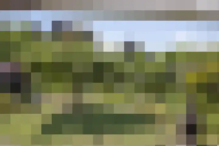 De Wolzaklaan 18 a Eefde thumbnail 29