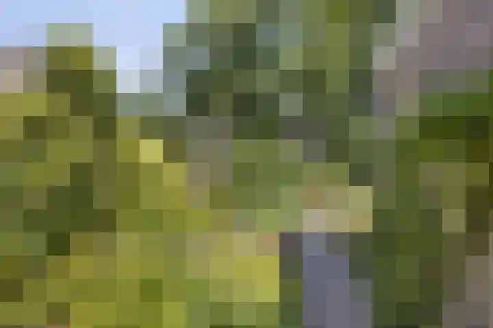 De Wolzaklaan 18 a Eefde thumbnail 30