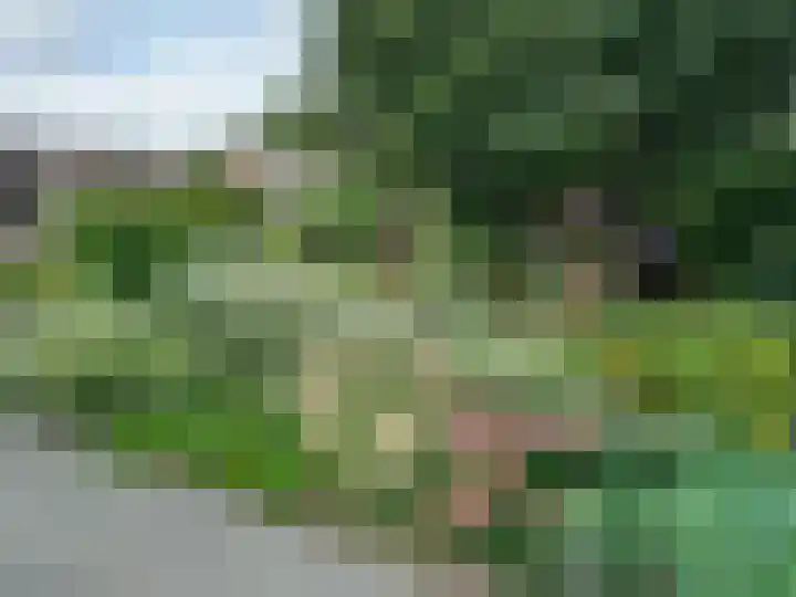 De Wolzaklaan 18 a Eefde thumbnail 31
