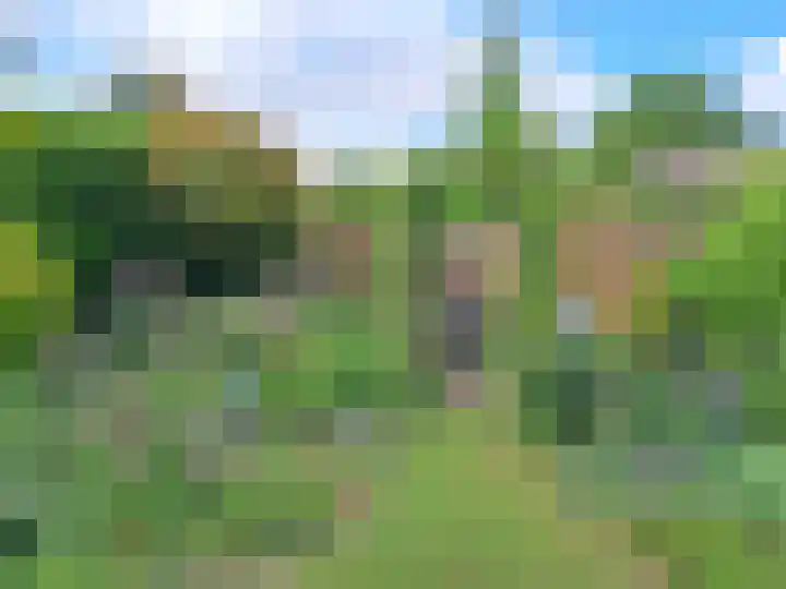 De Wolzaklaan 18 a Eefde thumbnail 32