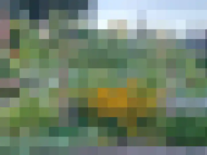 De Wolzaklaan 18 a Eefde thumbnail 33