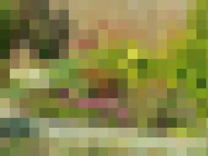 De Wolzaklaan 18 a Eefde thumbnail 34