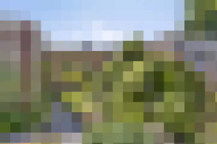 De Wolzaklaan 18 a Eefde thumbnail 35