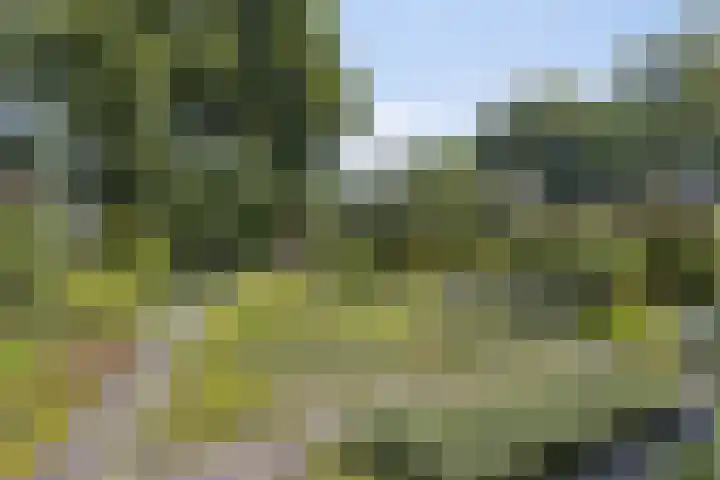 De Wolzaklaan 18 a Eefde thumbnail 36