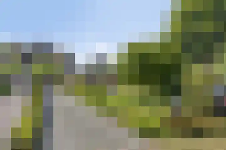 De Wolzaklaan 18 a Eefde thumbnail 37