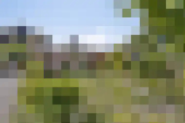 De Wolzaklaan 18 a Eefde thumbnail 38