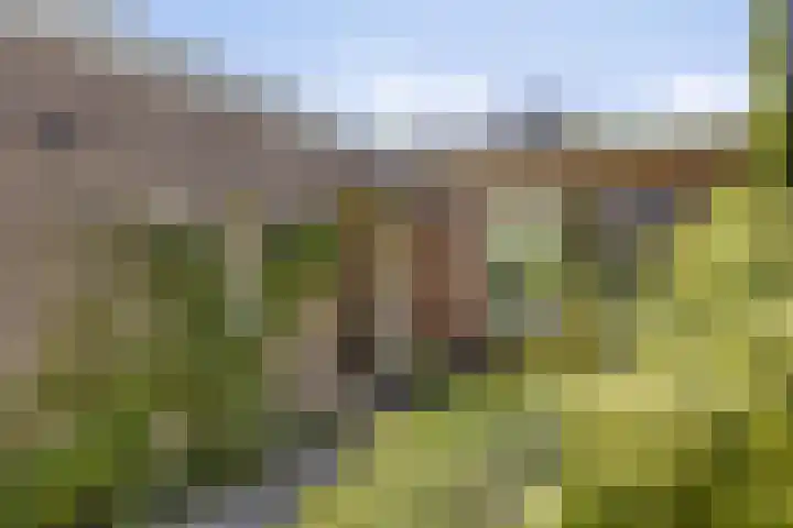 De Wolzaklaan 18 a Eefde thumbnail 39