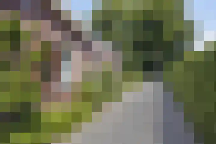 De Wolzaklaan 18 a Eefde thumbnail 40