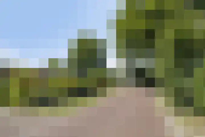 De Wolzaklaan 18 a Eefde thumbnail 41