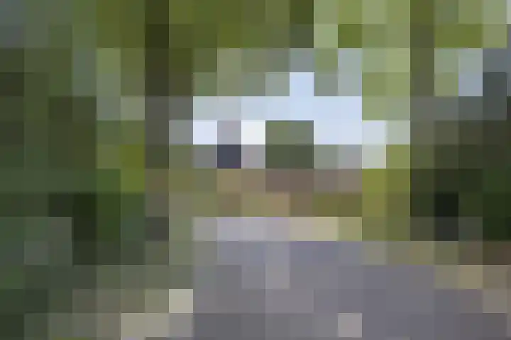 De Wolzaklaan 18 a Eefde thumbnail 42