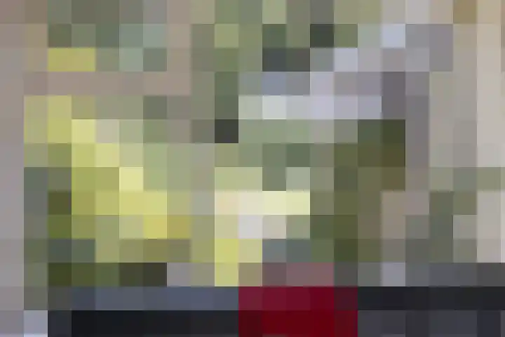 De Wolzaklaan 18 a Eefde thumbnail 5