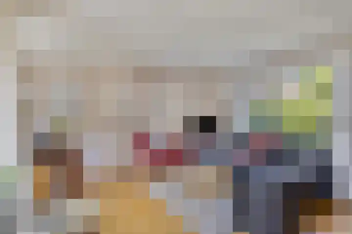 De Wolzaklaan 18 a Eefde thumbnail 6