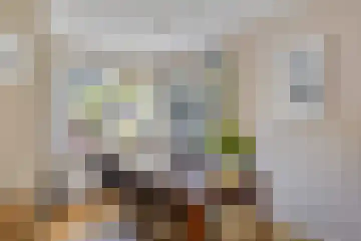 De Wolzaklaan 18 a Eefde thumbnail 9