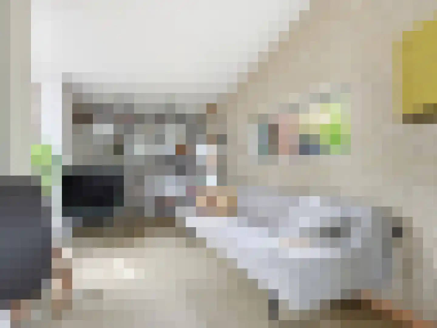 De Wolzaklaan 18 Eefde thumbnail 11