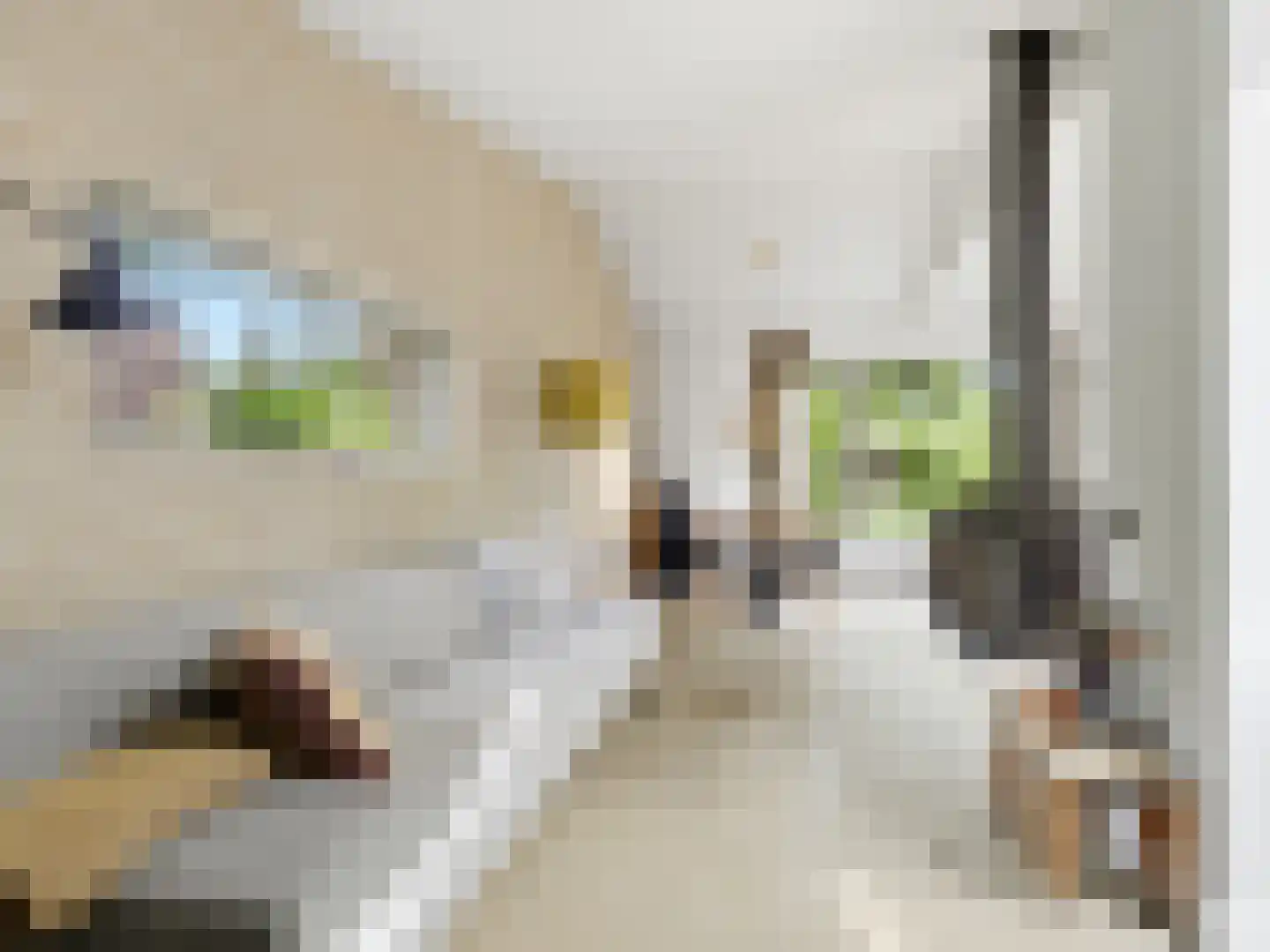 De Wolzaklaan 18 Eefde thumbnail 12