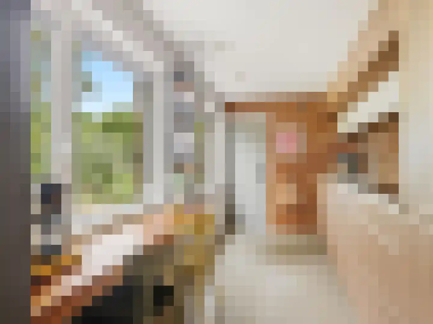 De Wolzaklaan 18 Eefde thumbnail 13