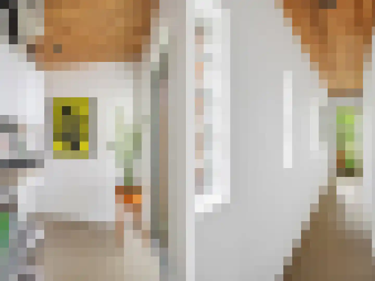 De Wolzaklaan 18 Eefde thumbnail 17