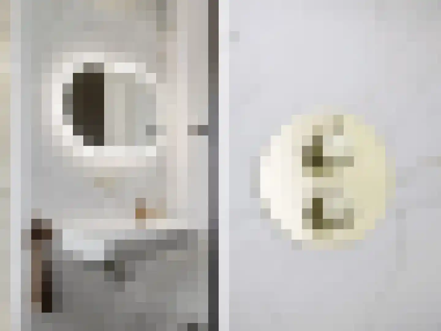 De Wolzaklaan 18 Eefde thumbnail 23
