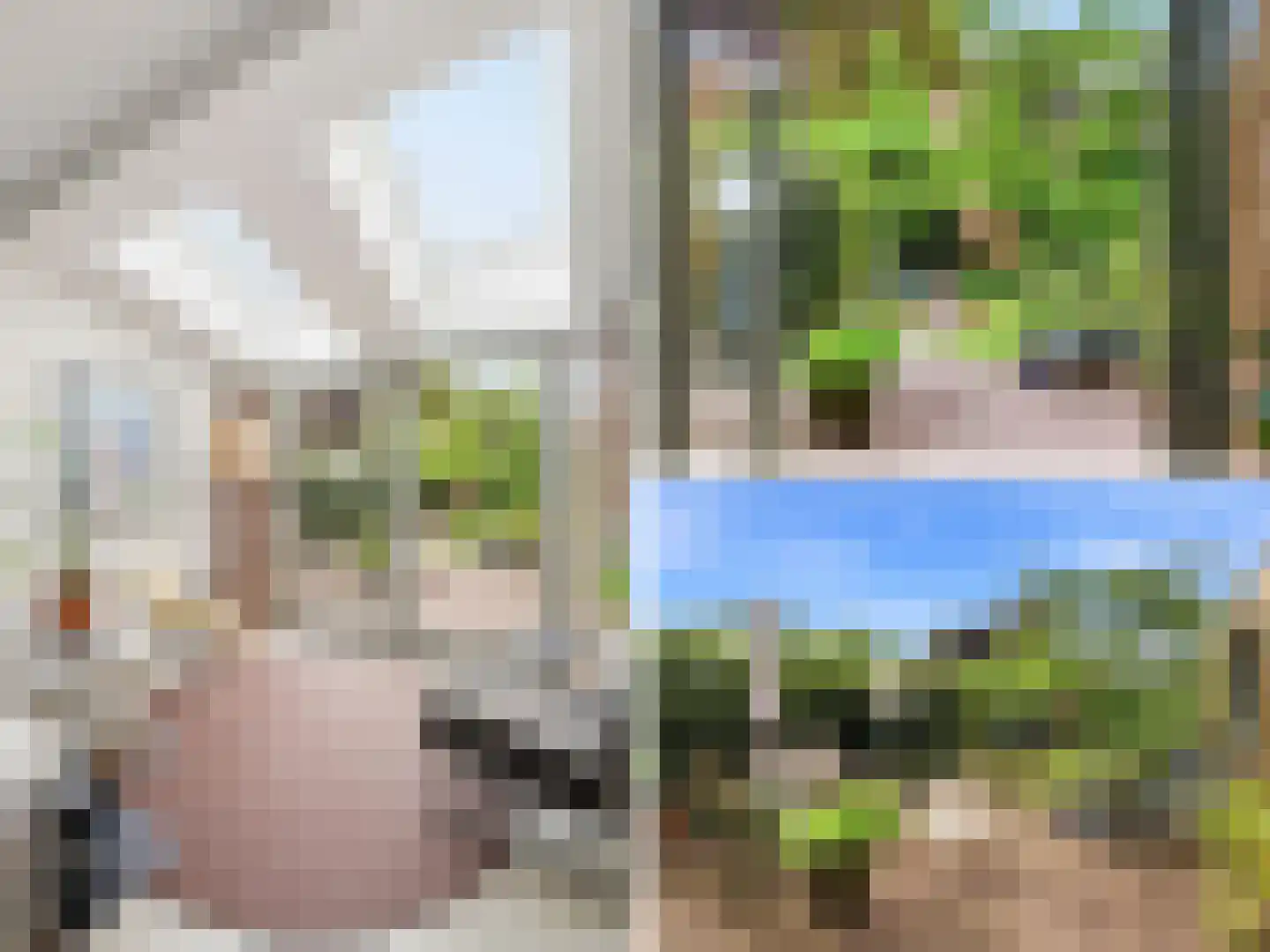 De Wolzaklaan 18 Eefde thumbnail 29