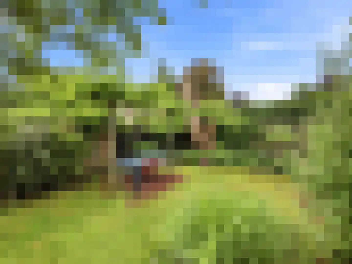 De Wolzaklaan 18 Eefde thumbnail 33