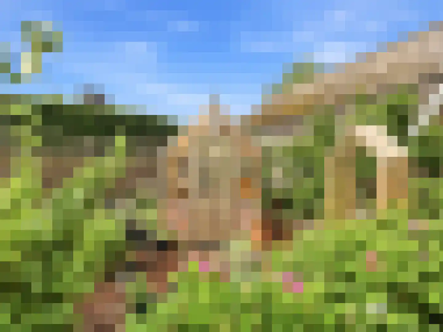 De Wolzaklaan 18 Eefde thumbnail 35