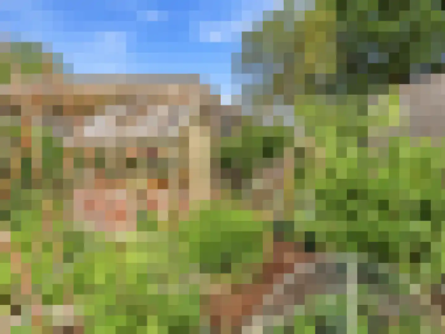 De Wolzaklaan 18 Eefde thumbnail 36