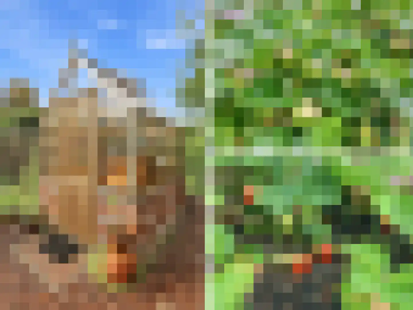 De Wolzaklaan 18 Eefde thumbnail 37