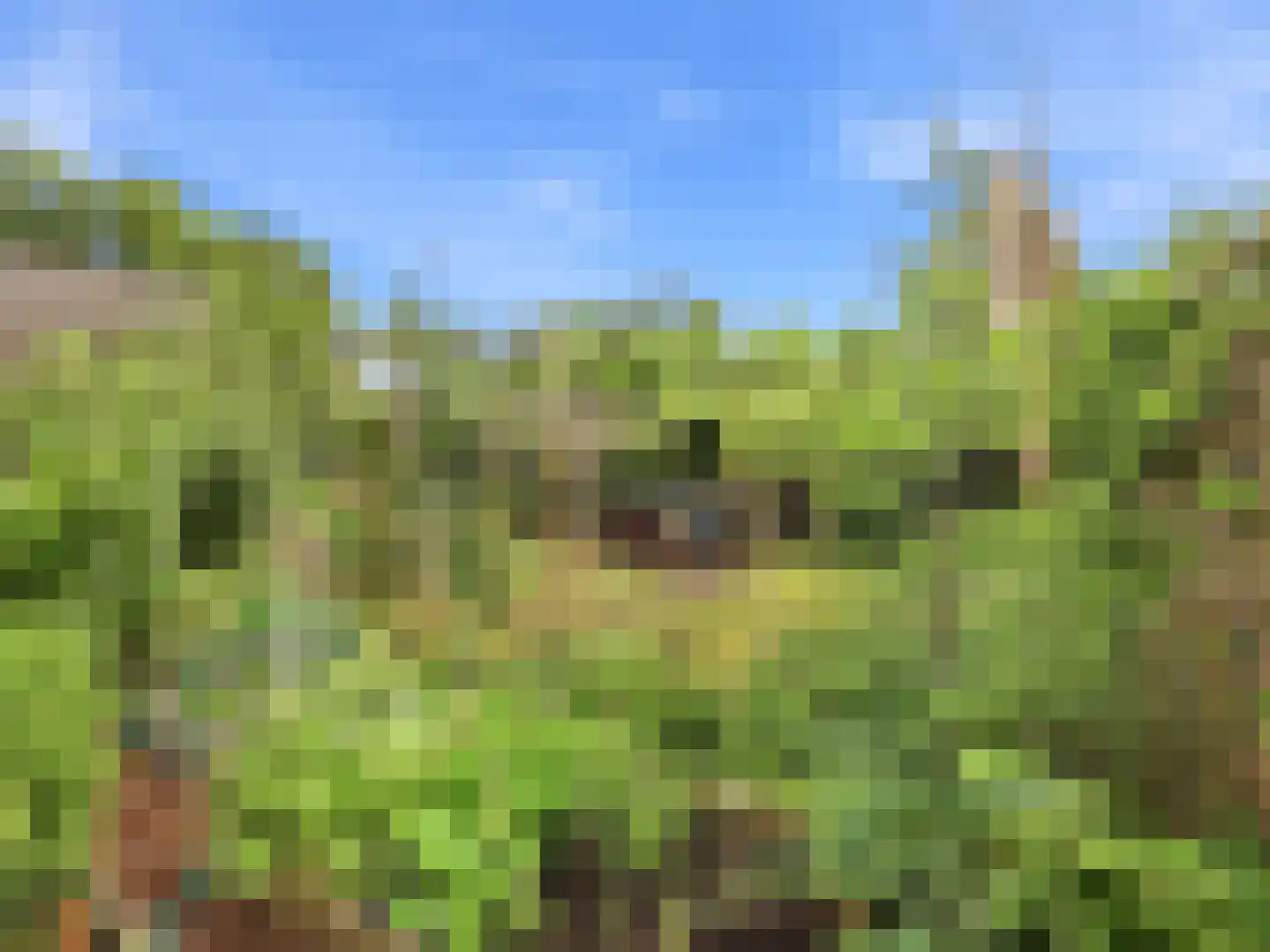 De Wolzaklaan 18 Eefde thumbnail 38