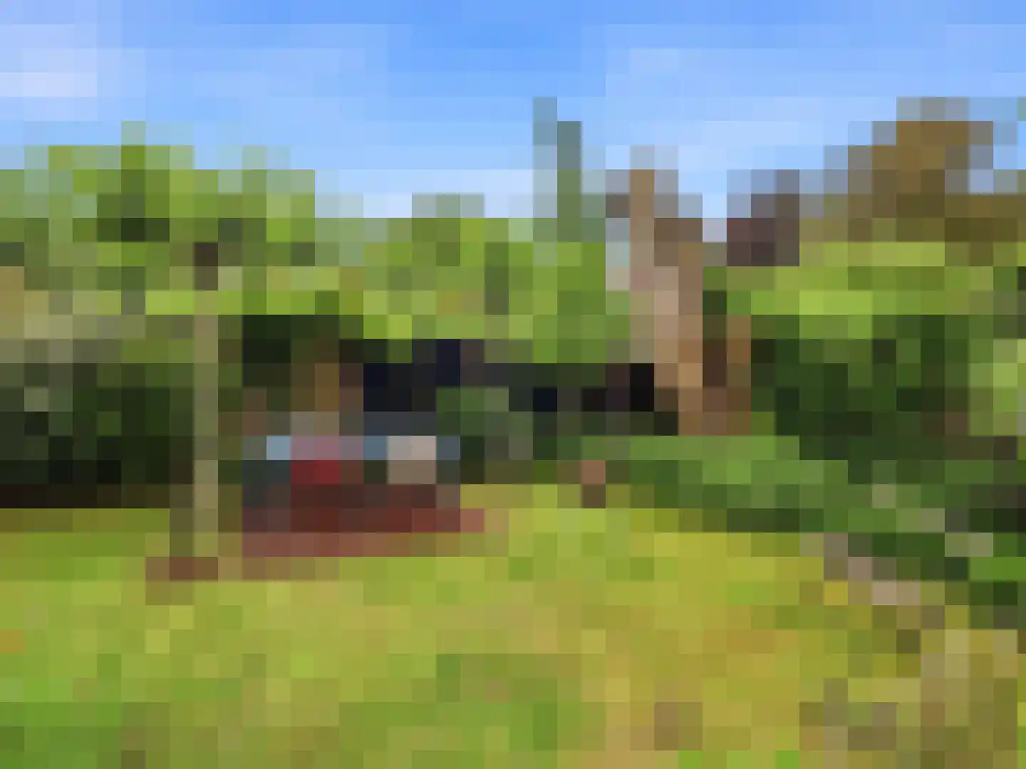 De Wolzaklaan 18 Eefde thumbnail 39