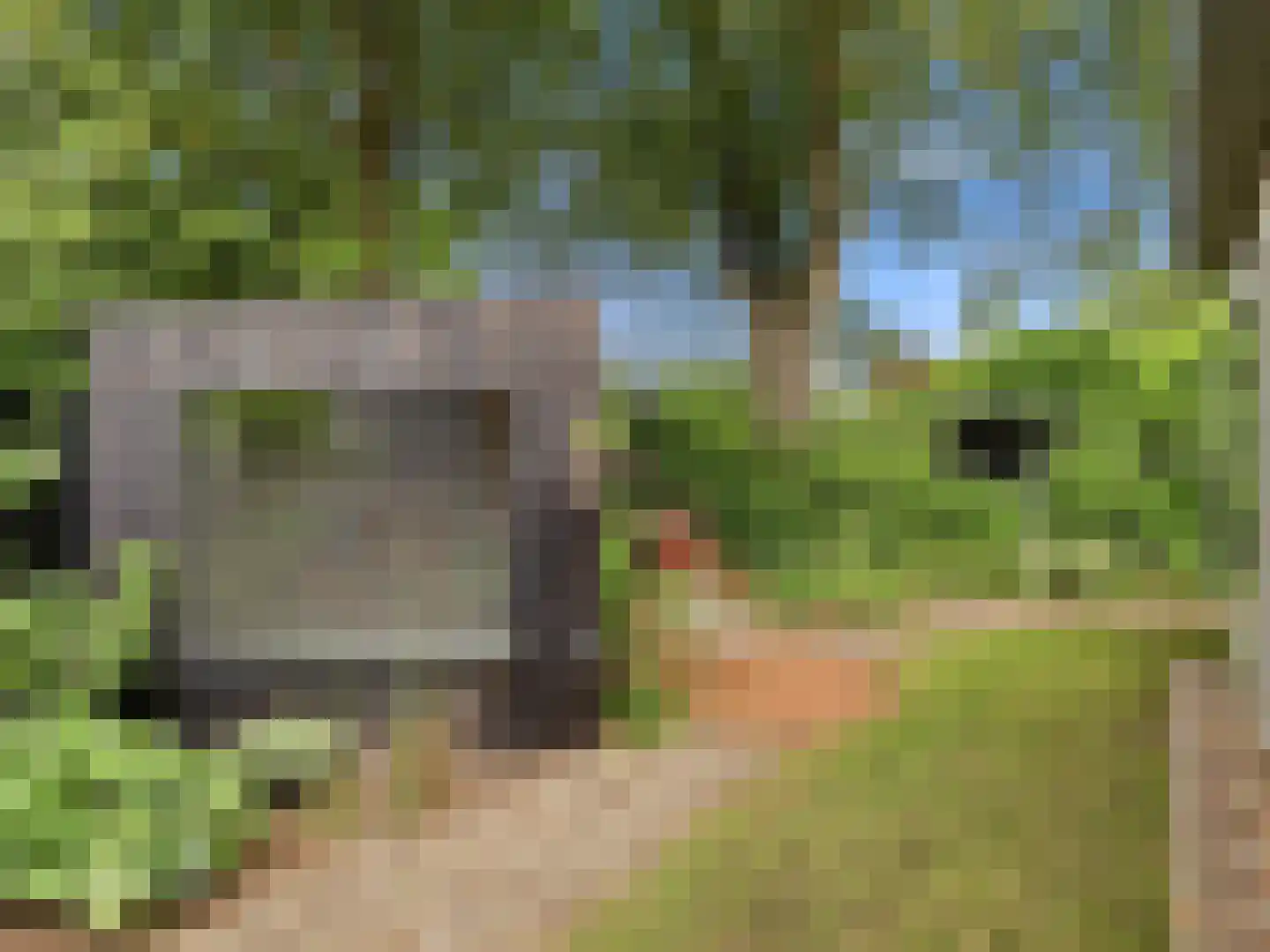 De Wolzaklaan 18 Eefde thumbnail 42