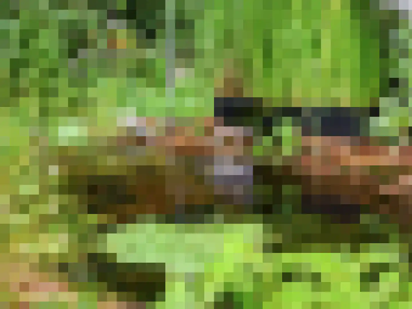De Wolzaklaan 18 Eefde thumbnail 44