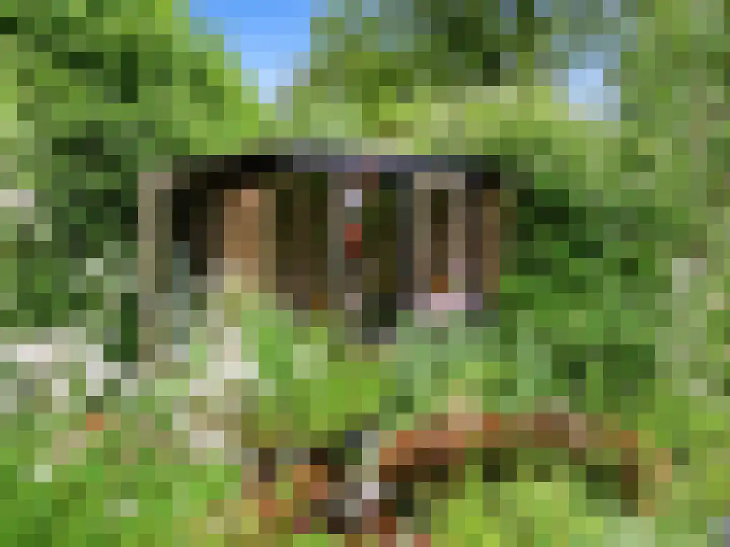 De Wolzaklaan 18 Eefde thumbnail 45
