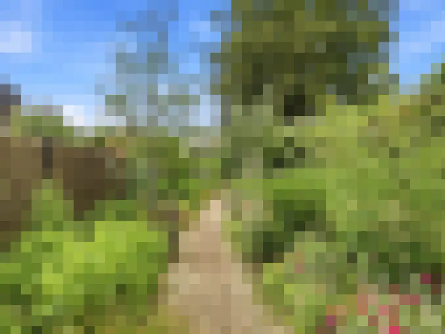 De Wolzaklaan 18 Eefde thumbnail 47