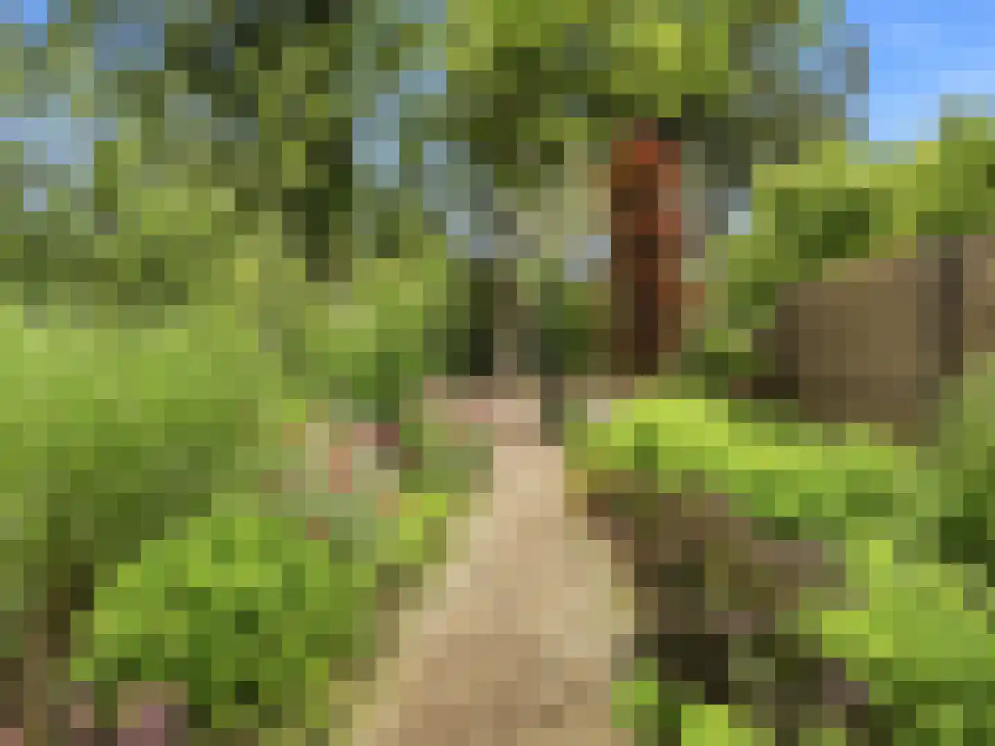 De Wolzaklaan 18 Eefde thumbnail 49