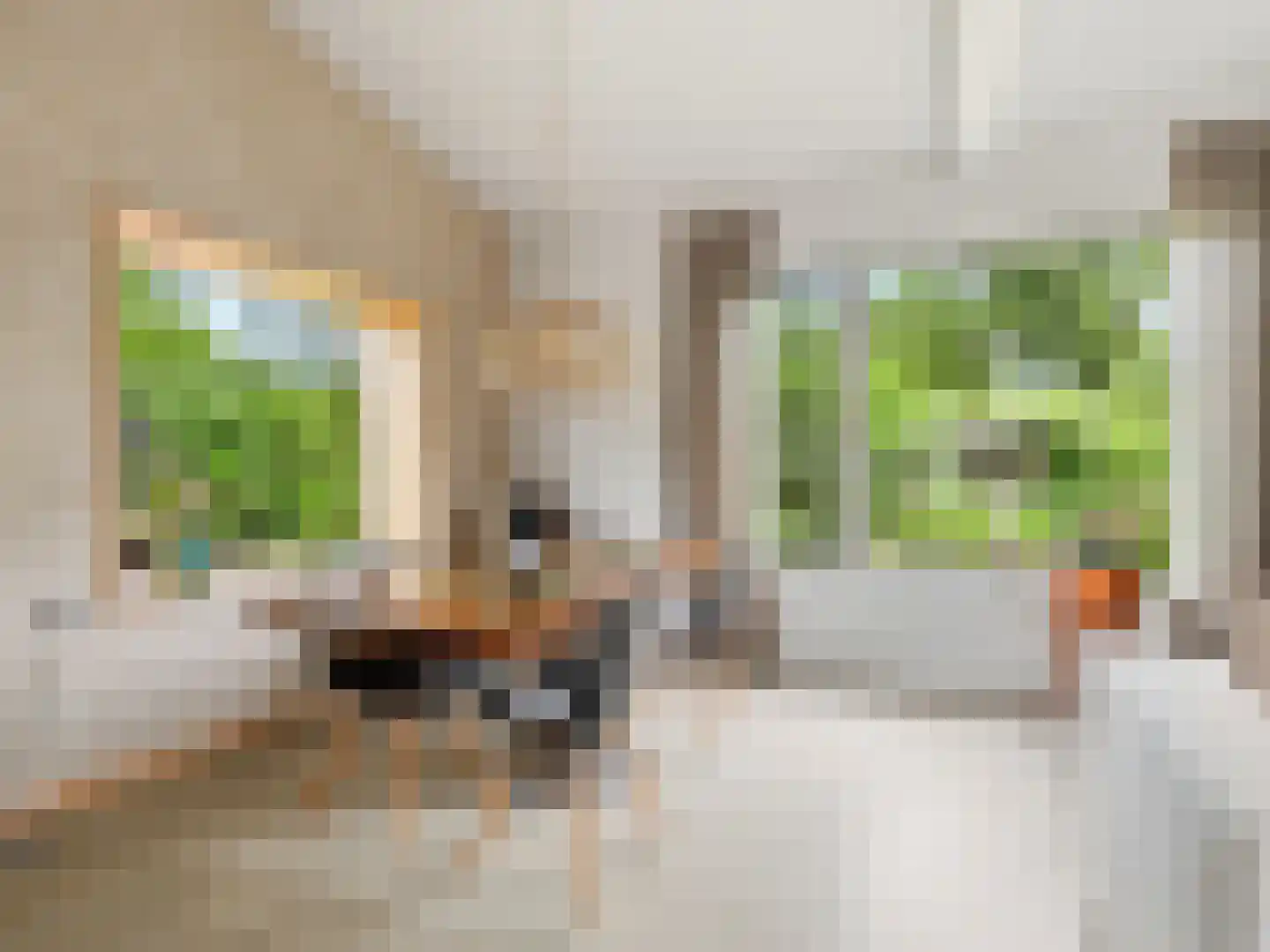 De Wolzaklaan 18 Eefde thumbnail 5