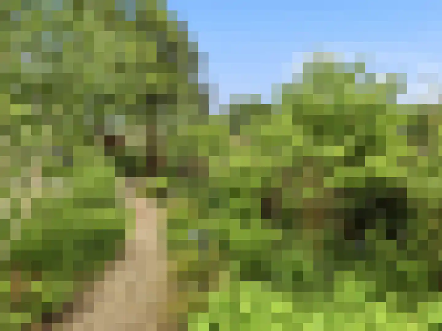 De Wolzaklaan 18 Eefde thumbnail 50