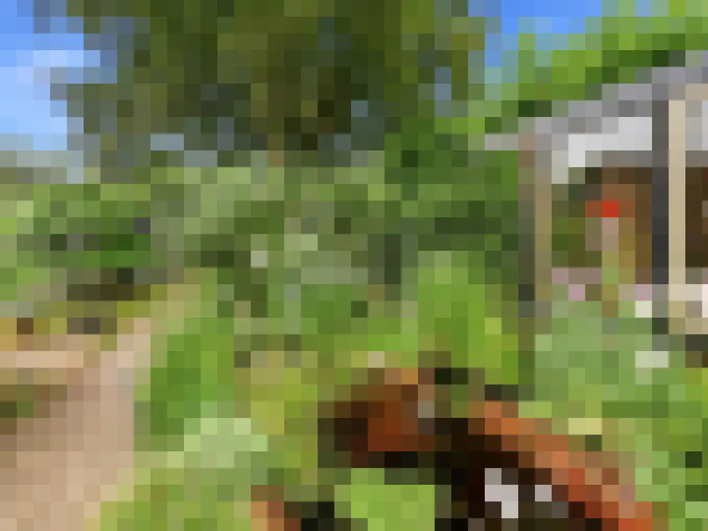 De Wolzaklaan 18 Eefde thumbnail 51
