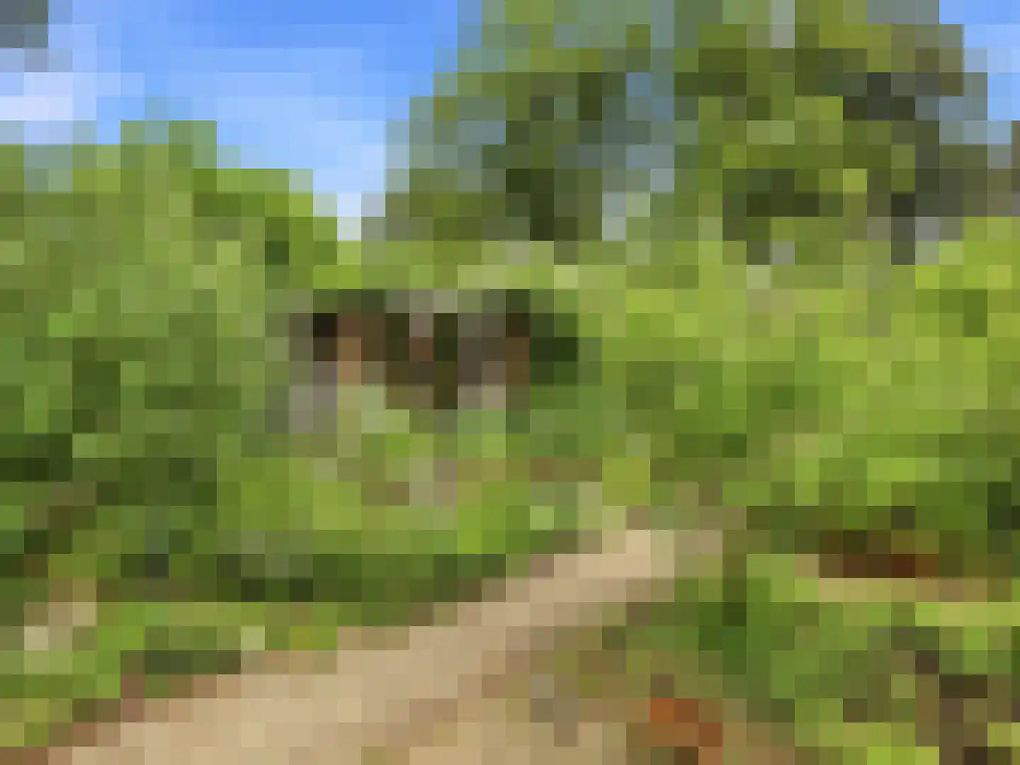 De Wolzaklaan 18 Eefde thumbnail 52
