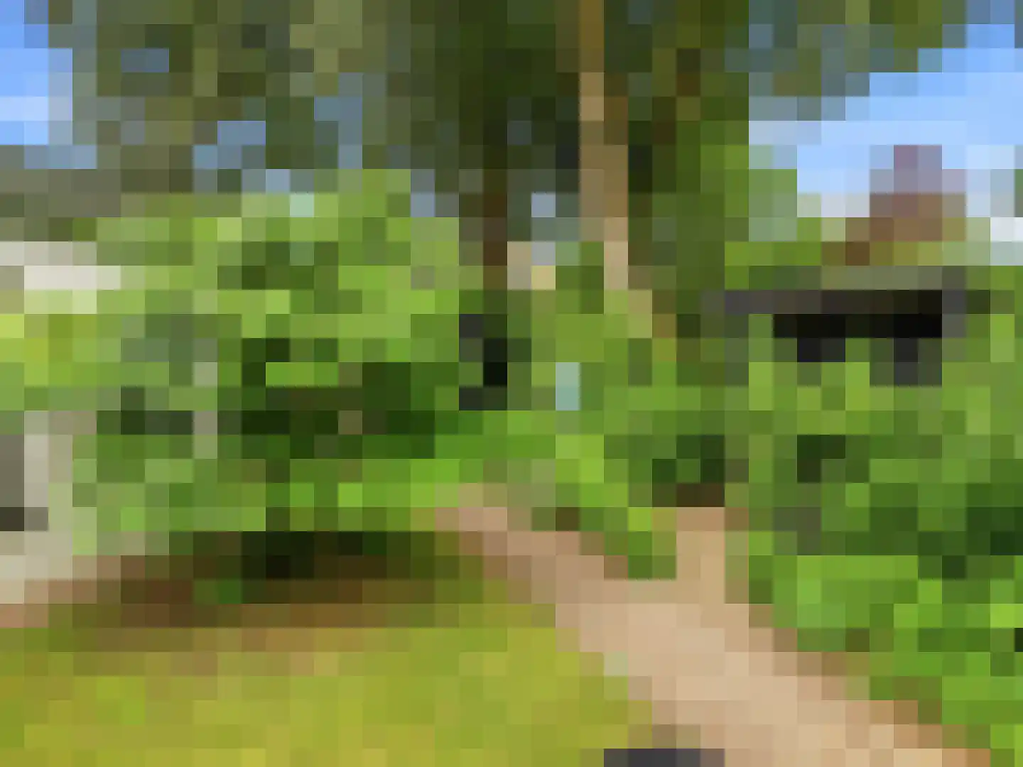 De Wolzaklaan 18 Eefde thumbnail 53