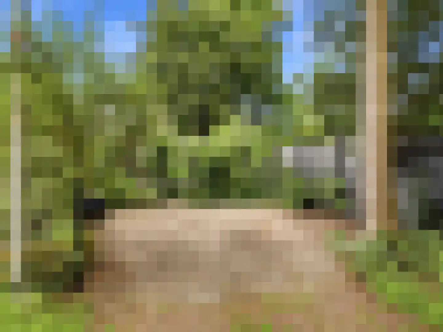De Wolzaklaan 18 Eefde thumbnail 54
