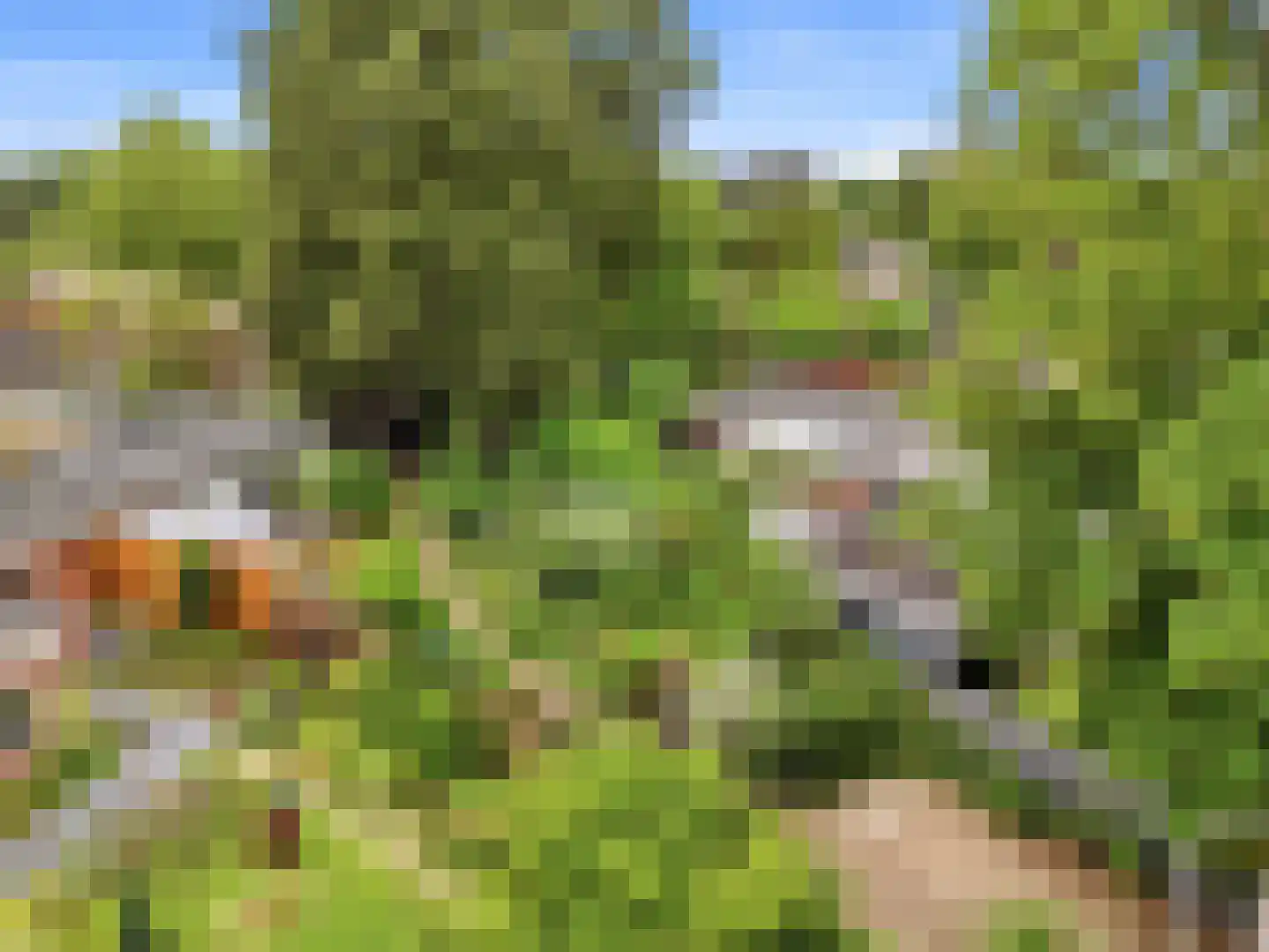De Wolzaklaan 18 Eefde thumbnail 56