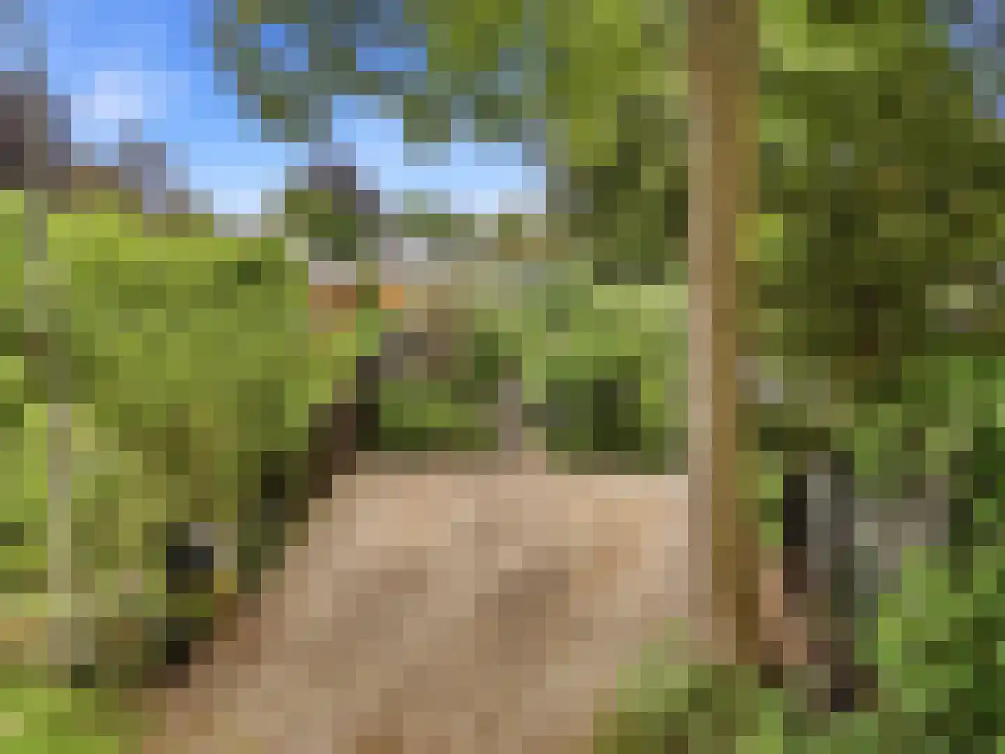 De Wolzaklaan 18 Eefde thumbnail 58